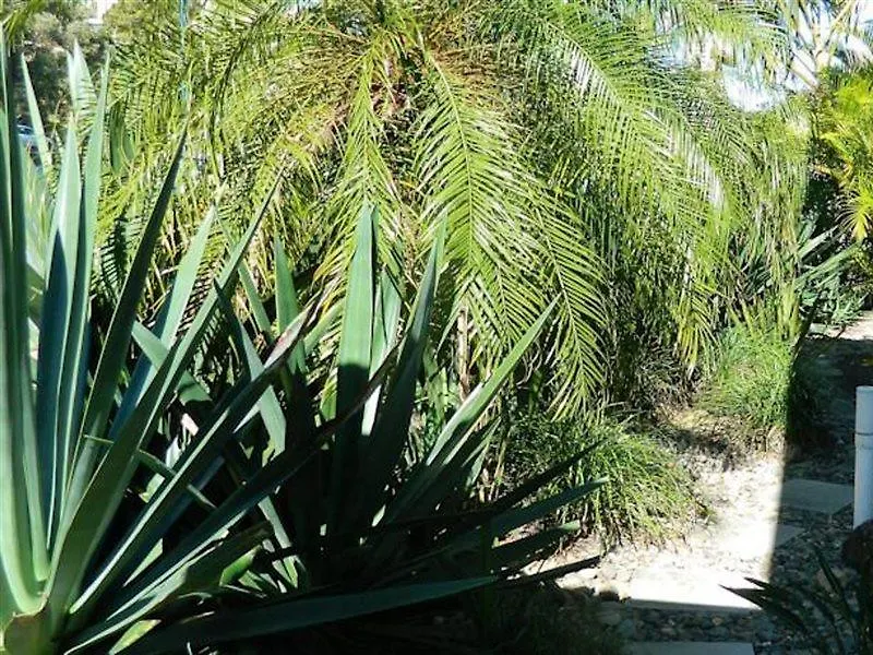 Sunshine Beach Resort Miami Motel